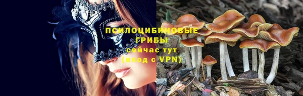МДПВ Осинники