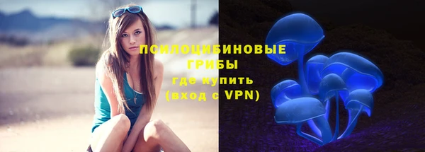 ПСИЛОЦИБИНОВЫЕ ГРИБЫ Абинск