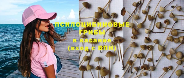 гидропоника Абдулино