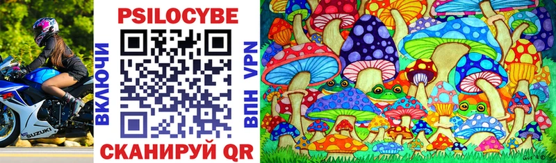 Галлюциногенные грибы Psilocybe Остров